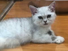 -龟与熊猫宠物公园(南坪店)