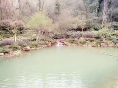 -杭州半山国家森林公园