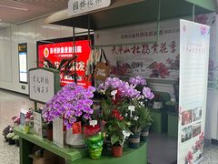 -狮子山(地铁站)