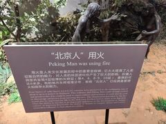-北京周口店北京人遗址博物馆