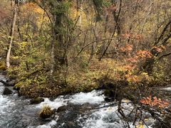 -叠溪松坪沟景区