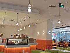 -油梨树 AVOCADO TREE(亮马桥店)