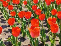 -长春公园(普阳街道)