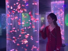 -杭州海底世界