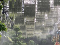 -东芭乐园