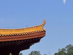 -深圳仙湖植物园