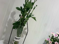 -夏叶茶(大光明店)