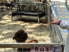 -青藏高原野生动物园