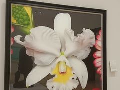 -德基艺术博物馆