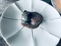 -Hi City·城市之巅