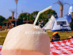 -上海月湖雕塑公园