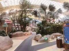 -杭州开元森泊度假乐园