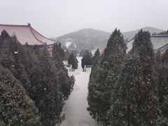 -龙口南山旅游景区