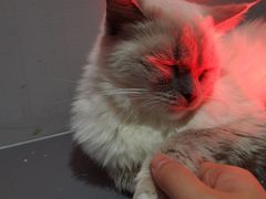 -极木²邸 人与宠物·互动社区