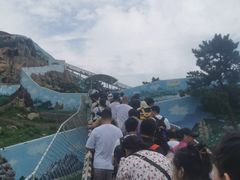 -西霞口神雕山野生动物世界