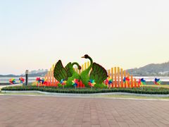 -野狸岛