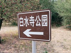 -白水寺森林公园