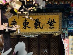 -真庆观