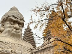 -北京石刻艺术博物馆(五塔寺)