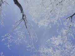-中旅松花湖滑雪场
