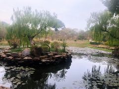 -无锡梅园公园