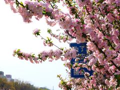 -元大都城垣遗址公园