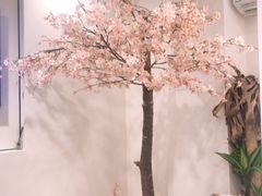 -黒毛和牛焼肉善 ZEN(難波心斎橋店)