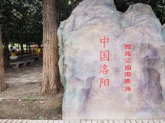 -西苑公园