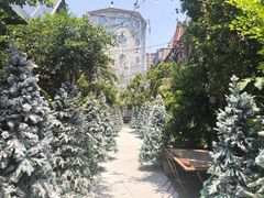 -The Grounds of Alexandria
