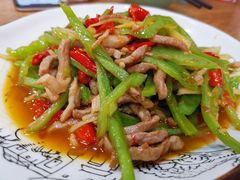 青椒鸭丝-盐与味葱葱鲫鱼•自贡菜江湖菜(春熙店)