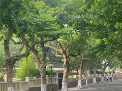 -八大关景区