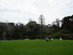 -墨尔本皇家植物园