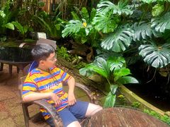 -Fern Forest Cafe