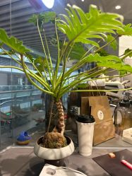 -菲·木田moontin造型salon