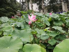 -北京邮电大学
