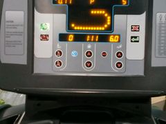 -金吉鸟健身游泳