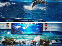 -多彩贵州城极地海洋世界