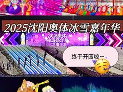 -沈阳奥体冰雪嘉年华