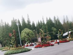 -东平国家森林公园