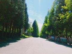 -山王坪喀斯特国家生态公园