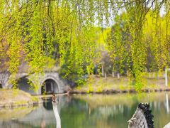 -梁鸿国家湿地公园