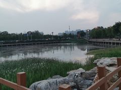 -1970南湖影视基地(建设南路店)