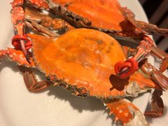 -君悦酒店·乐厨·高空自助餐(青年大街店)