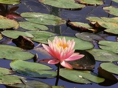 -华南国家植物园-售票处