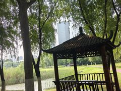 -滨湖塘西河公园