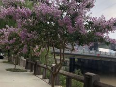 -运河游船(武林门码头)