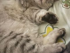 -大桶大足浴(南翔店)