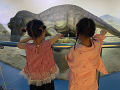 -国家自然博物馆