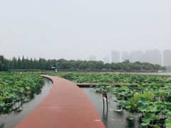 -暨阳湖生态园