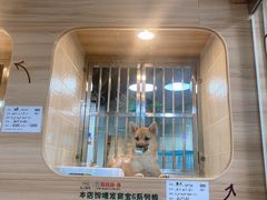 -1013 PET SHOP 宠物商店(近铁城市广场店)
